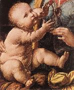 LEONARDO da Vinci The Madonna of the Carnation  g Spain oil painting reproduction